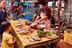 Jelang Ramadhan 1445 H, Harga Ayam Potong Masih Tinggi 
