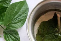 Mata Merah dan Perih? Coba Basuh dengan Rebusan Air Ini!