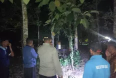 Polres Banyuasin Selidiki Penemuan Dua Jenazah Pasutri di Perkebunan Karet