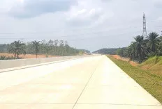 DPR Soroti Dampak Tol Trans Sumatera ke UMKM, Rest Area Jadi Solusi Terbatas