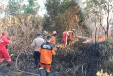  Karhutla Hanguskan 2 Hektare di Ogan Ilir, Tim Gabungan Sigap Padamkan Api