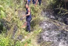 Kebakaran Lahan di Soak Baru Berhasil Dipadamkan, Damkar Muba Bergerak Cepat