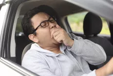 Jangan Andalkan Kopi! Ini Cara Ampuh Atasi Kantuk Saat Berkendara, Dijamin Aman dan Nyaman Sampai Tujuan   