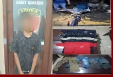 Pelaku Curas Karyawan PNM Ditangkap, Diringkus Saat Mencuri Buah Sawit