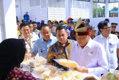 Dampingi Menko Polkam di Sungsang, Wagub Cik Ujang Dorong Percepatan Infrastruktur Nelayan Sumsel