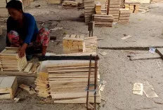 Musim Panen Duku, Emak-Emak di OKI Buat Kotak Buah, Hasilnya Lumayan