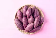 Jika Anda Sering Makan Ubi Ungu Ini 10 Manfaatnya