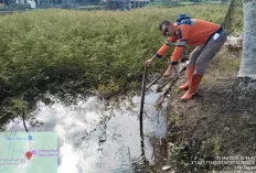 Hadapi Musim Kemarau, BPBD OKI Siagakan 9 Posko Karhutla