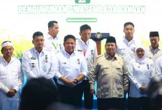 Sumsel Raih Peringkat 3 Nasional, Gubernur Herman Deru Terima Satyalancana Wira Karya dari Presiden