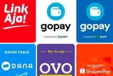 Yuk Kenali Aplikasi Dompet Digital yang Terpopuler
