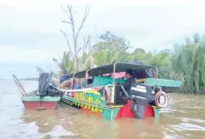 Pencarian Terhadap Warga Terkam Buaya Terus Dilakukan Pencarian, Hingga Radius 30 Meter 