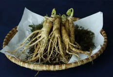 Apa Itu Ginseng? Temukan Manfaat Kesehatan dan Cara Mengonsumsinya