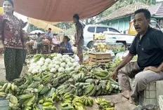 Pasokan Normal, Harga Pisang Stabil