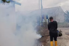 Kasus DBD Meningkat, Palembang Siapkan Fogging Gratis untuk Warga!