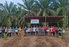 Sinergi Ketahanan Pangan: Polsek Lais dan Stakeholder Tanam Jagung Hibrida di Desa Tanjung Agung Utara