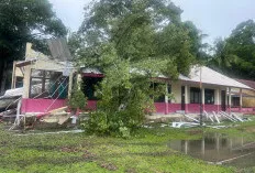 BRAAK, Ditimpa Pohon Besar, Gedung SDN 11 Pemulutan Barat Ogan Ilir Rusak Parah