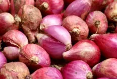 Bawang Merah: Si Kecil Pedas dengan Kekuatan Kesehatan yang Besar