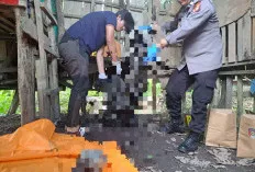 Geger Penemuan Kerangka Manusia di Pondok Kebun Karet Sungai Lilin