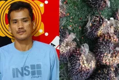 Terekam Kamera CCTV, Pelaku Pencurian Sawit di Musi Rawas Ditangkap Warga