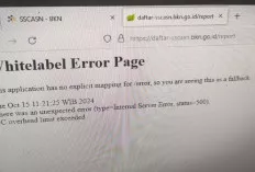 Waduh, Website SSCASN Susah Diakses Honorer 