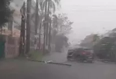 Waspada Pohon dan Tiang Listrik Tumbang