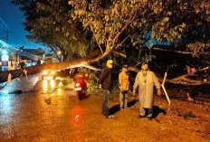 Hujan Deras Guyur Palembang, Sejumlah Wilayah Terendam Banjir dan Pohon Tumbang  