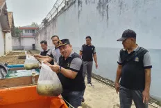 Lapas Sekayu Tebar 1000 Benih Ikan Lele, untuk Pembinaan Kemandirian dan Dukung Ketahanan Pangan