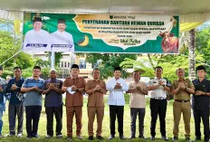 Idul Adha 1447 H: Pemkab Muba Salurkan 40 Hewan Kurban untuk Ponpes, Masjid, hingga Penyandang Disabilitas 