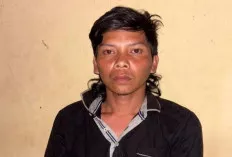 Satu Pelaku Pencuri Sawit di PT Evans Lestari Diringkus, Dua Lainnya Masih Buron