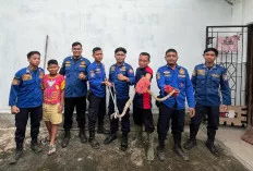 Heboh! Ibu Rumah Tangga Histeris Saat Ular Kobra Muncul di Bawah Tangga  
