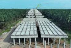 Tol Betung-Jambi Seksi 2A dan 2B Dikebut, Waktu Tempuh Sumsel-Jambi Dipangkas Jadi 3 Jam