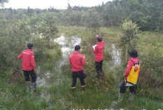 Tetap Tingkatkan Kewaspadaan, Walaupun Lahan Gambut di Kabupaten OKI Basah 