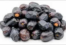 Jenis-Jenis Kurma Termahal di Dunia, Kelezatan yang Dibanderol dengan Harga Fantastis