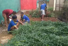 Lahan Kosong di Lapas Muara Beliti Berubah Fungsi, Ditanami Singkong 