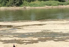 Tanah Napal Sungai Musi Jadi Arena Bermain Layangan Favorit Anak-anak