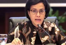 Serius! Para Tenaga Honorer Diberikan Tunjangan Tambahan, Berapa Besaranya?