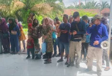 Warga Padang Bindu Tuntut Pencairan Dana Plasma Sawit 2025