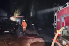 Rumah Warga di Bayung Lencir Terbakar, Damkar Bergerak Cepat Padamkan Api
