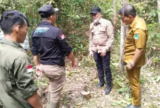 Pemkab Ogan Ilir Tinjau Sumur Minyak Tua di Payaraman, Buka Peluang Kelola PAD dari Migas