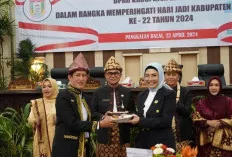 Momen HUT Banyuasin Ke-22, Angka Kemiskinan Menurun 