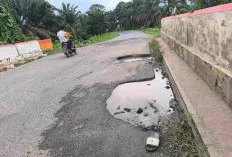 Lantai Jembatan Air Patin Rusak Parah, Pengendara Minta Segera Diperbaiki