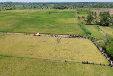 Banyuasin Segera Miliki SPBU Pertanian Pertama di Sumsel