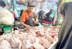 Libur Program MBG Picu Harga Ayam dan Telur Turun, Namun Inflasi Sumsel Tetap Naik Akibat BBM dan Beras