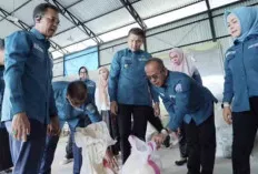 Berharap Bisa Tekan Inflasi, Pabrik Pakan Ikan Milik Pemkab OI Mulai Produksi 