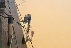 Fender Jembatan Air Sungai Lilin Segera Diperbaiki, Pengerjaan Dimulai Pada Bulan Agustus