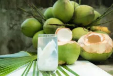 Segarkan Diri Sekaligus Redakan Asam Lambung dengan Kelapa Muda