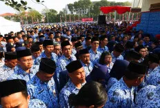 Formasi CPNS 2024 dan PPPK 2024 Disiapkan Mencapai 2.302.543