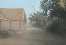 Angkutan Batubara Dikeluhkan Warga, Karena Berdebu 