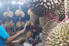 Ini Manfaat Biji Durian Bila Diolah