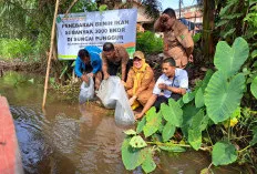  3.000 Bibit Patin Ditebar, Pemerintah Kelurahan Sungai Lilin Ajak Warga Jaga Ekosistem